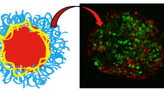 illustration showing a nanoparticle