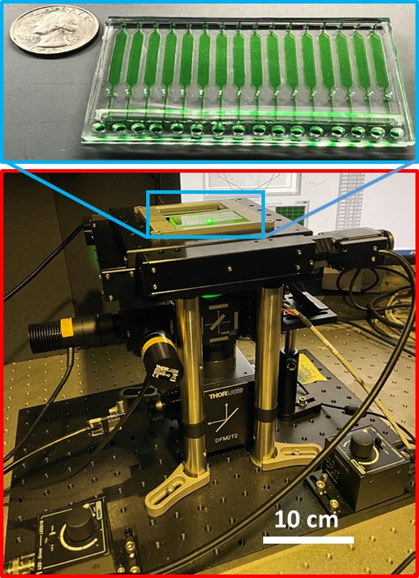 biochip device